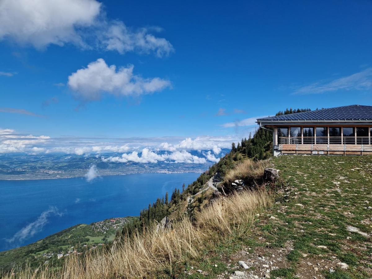 Appartement Tout Confort Montagne Et Lac Leman 톨롱 외부 사진