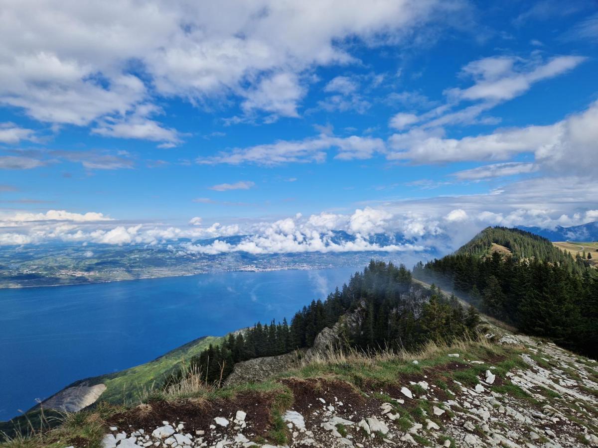 Appartement Tout Confort Montagne Et Lac Leman 톨롱 외부 사진